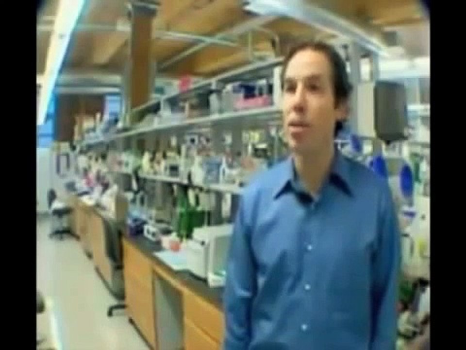 Cured  A Cannabis Story (A film by David Triplett)