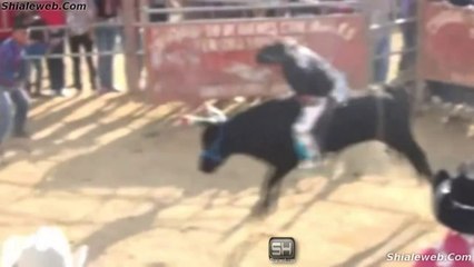 Jaripeo Extremo Nov 2014 Jinetes Montan Toros Salvajes Espuela Libre Porrazos Sustos Caidas Y Quedas Michoacan Mexico