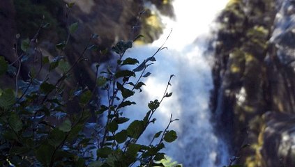 Philippounet: l'eau vive for barry