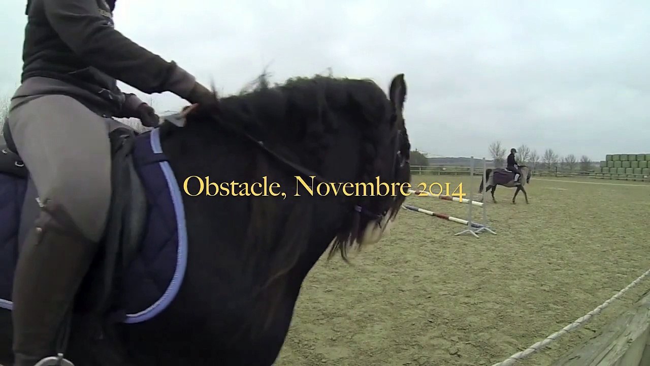 Obstacle Novembre 2014