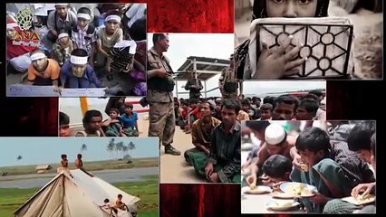 أراكان اليوم أخبار باللغة الإنجليزية-ANA Weekly English News -  Monday 24 November 2014