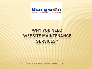 Why you need best website maintenance services?