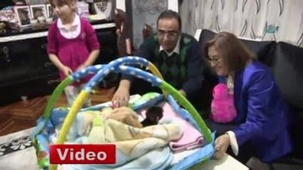 Fatma Şahin Yavru Babunu Böyle Sevdi