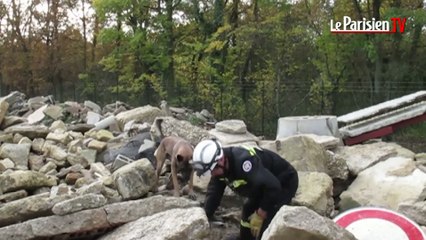 Download Video: Essonne : de vrais-faux immeubles effondrés pour entraîner les chiens sauveteurs