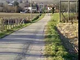 derbi black devil pro race