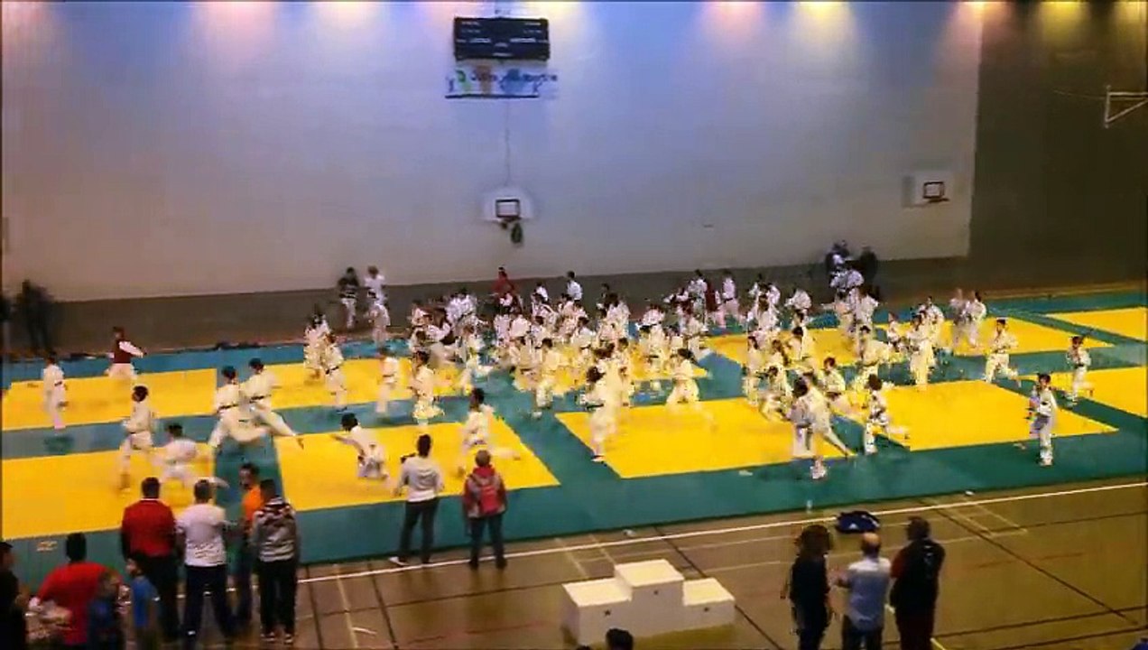 Loulou interclubs de judo 221114 Oullins