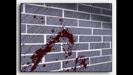 FRAMED : trailer concept