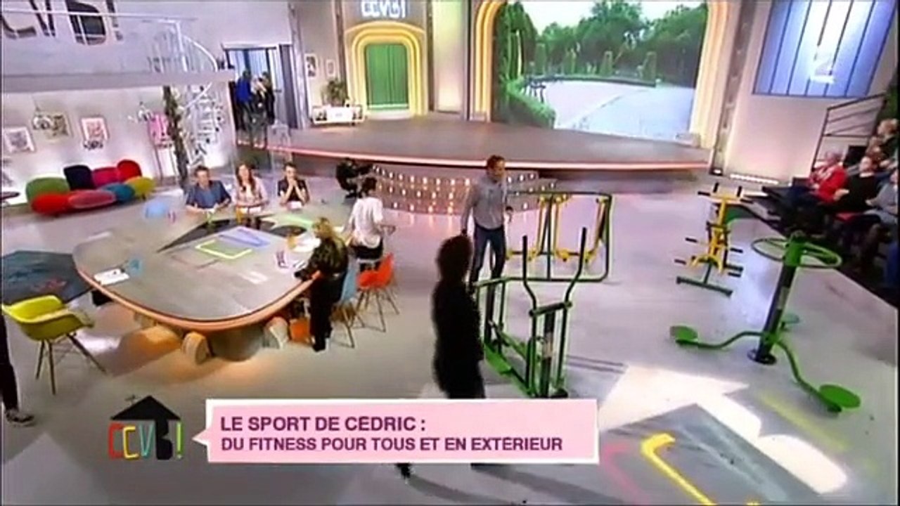 Comment Ça Va Bien - FRANCE 2 émission du 17 Novembre 2014