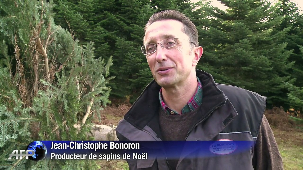 Coupe du sapin de Noël de l’Elysée