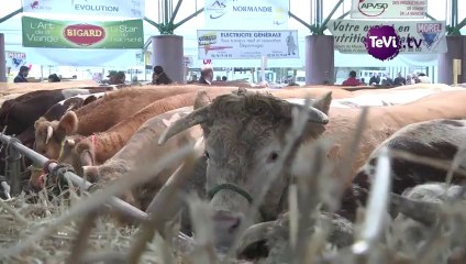 Festival de la viande 2014 [TéVi] 24-11-14