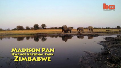 Un éléphant s'amuse avec une Go-Pro