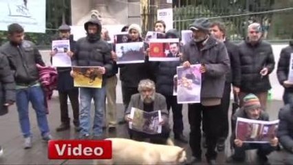 Sokakta Yaşayan Vatandaşların Yardım Çığlığı