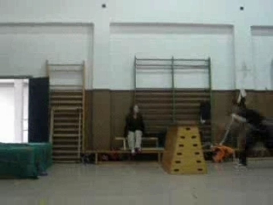 Teido Nashi Team - Gim