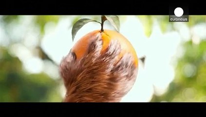 "Paddington" vizyon için gün sayıyor