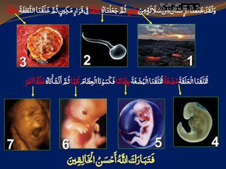 QURAN 68 AL-RAHMAAN  02 Rahman's mercy and blessings From race to the universe