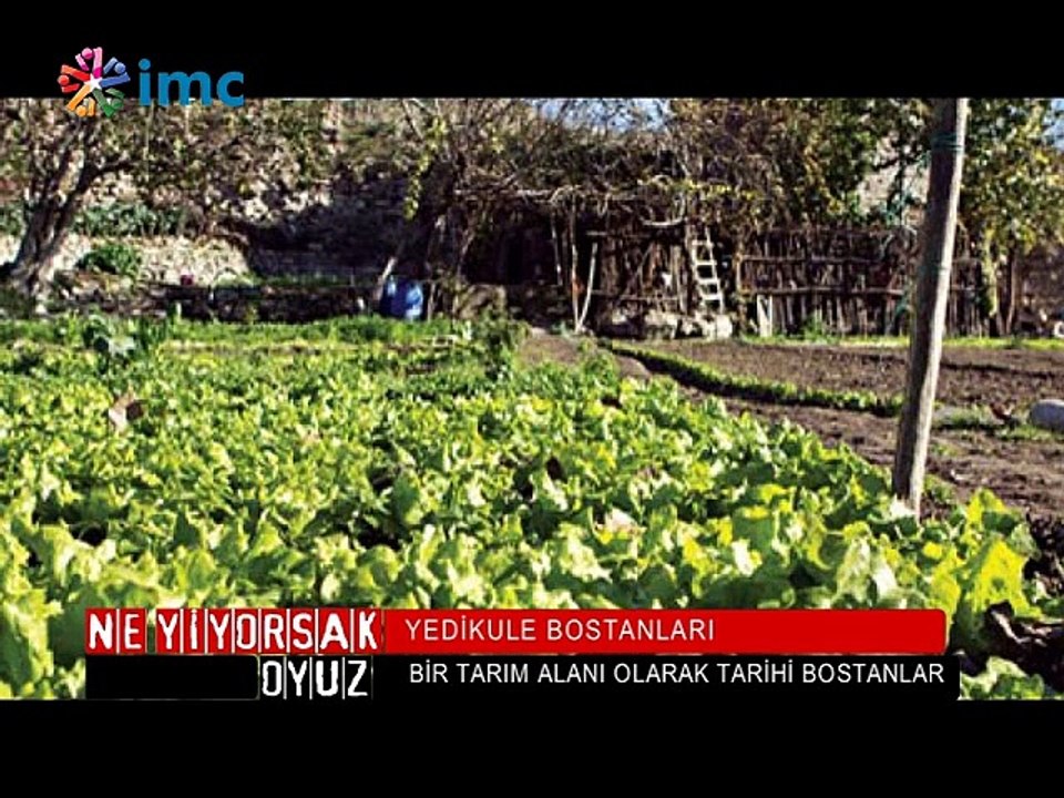 Ne Yiyorsak Oyuz - Yedikule bostanları (22 Kasım 2014)