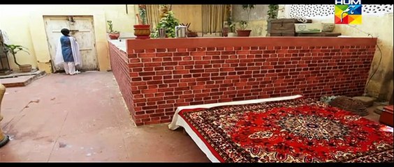 Aik Pal Drama Episode 1 Full on HUM tv 24th November 2014