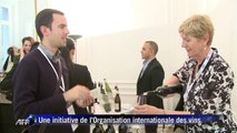 Israël veut faire découvrir ses vins aux Français