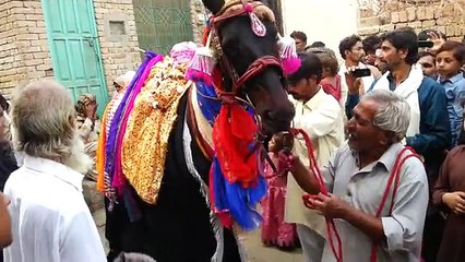 10 Muharram Baramadgi Majlis Of ZuLjinah Recitng By MaLiK MaQBooL Hussain Faddah TownMailsi (03006884500)