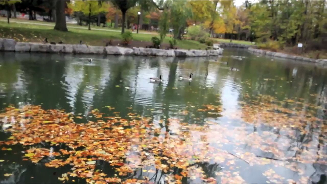 pre Wedding Fady & Ornela Wink Camera Toronto - Canada