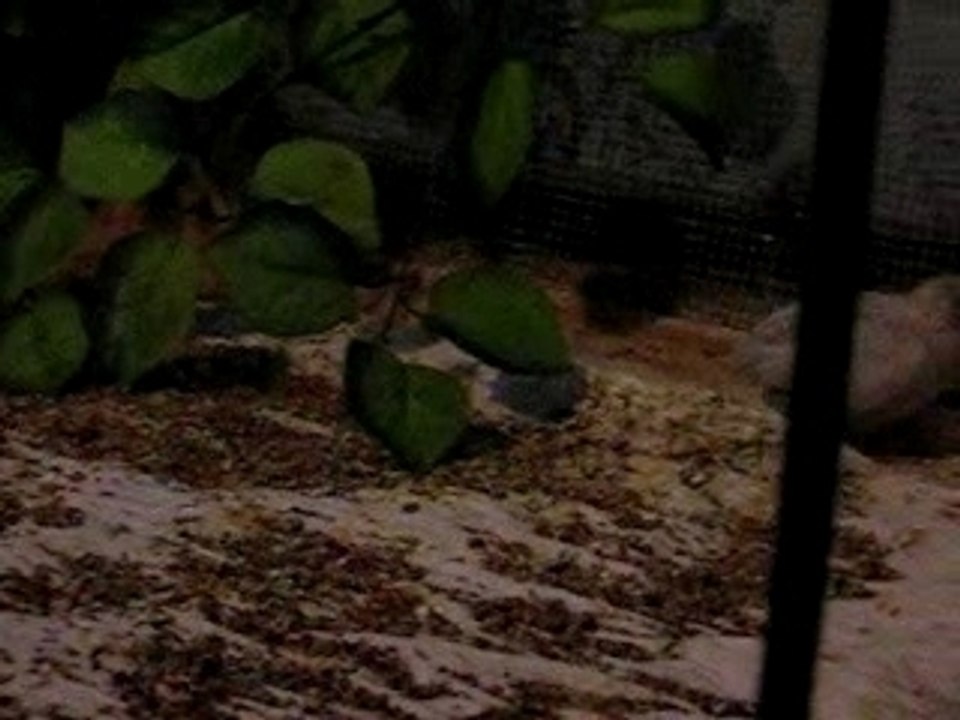 Photo 005