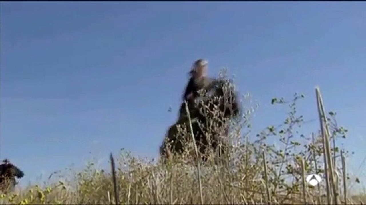 2  BANDOLERA persecucion a caballo