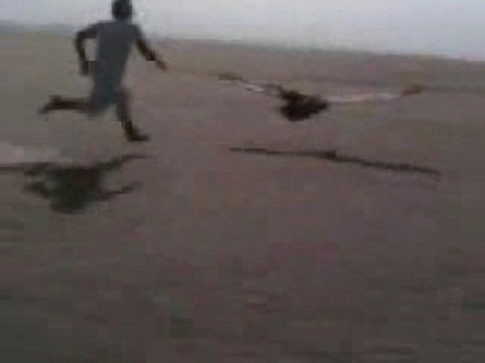 chasse bizarre