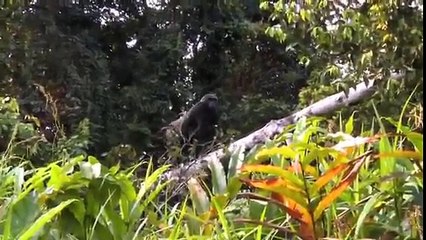 Um amigo nunca se esquece!