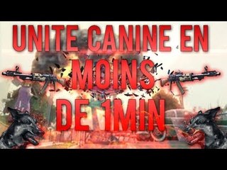 Unité canine en moins de 1min ! | Performance | SeezoGaming | HD