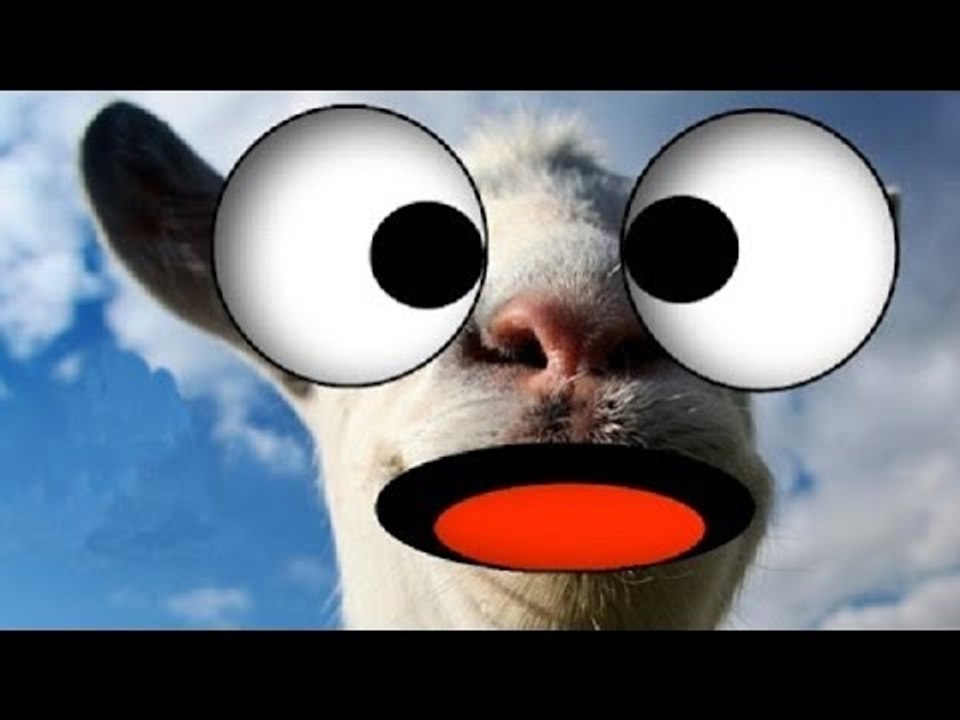 FAILS WTF : BUGS, CASCADES ET CHUTES