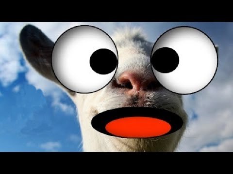 FAILS WTF : BUGS, CASCADES ET CHUTES