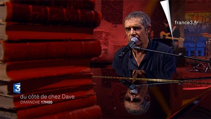 Julien Clerc et Patrick Bruel invités "Du côté de chez Dave"