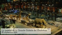 20 ans de la Grande Galerie de l'Évolution : la genèse de la Grande Galerie de l'Évolution (1/5)