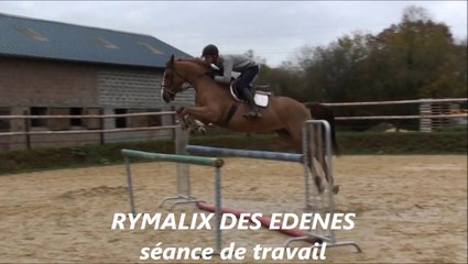 Rymalix des Edènes séance de travail novembre 2014