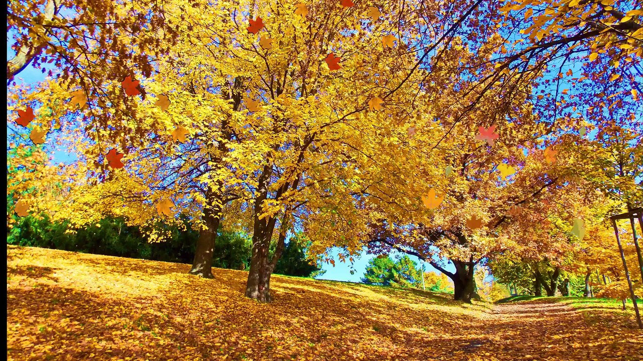 AUTUMN ОСЕНЬ