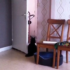 Enregistrement mobile du 25 nov. 2014