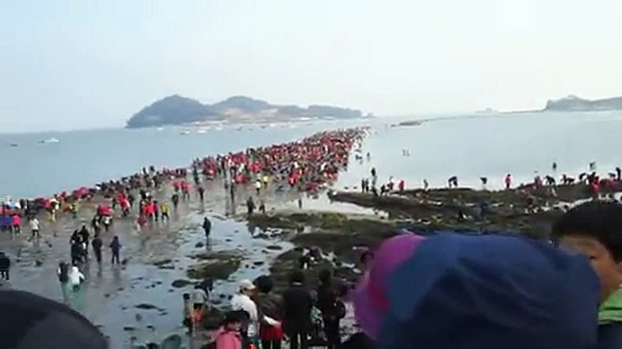 Jindo Sea Parting Science Behind the Magic