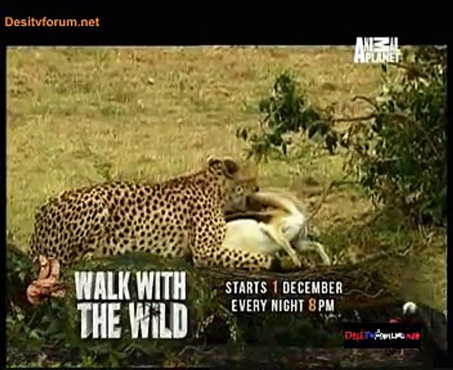 Animal Planet Safari 25th November 2014 Video Watch Online pt1