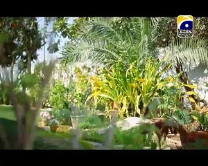 Aap Ki Kaneez Episode 9 Full 24th November 2014 on Geo