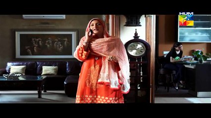 Aik Pal Drama Episode 1 Full 24th November 2014 By Hum Tv