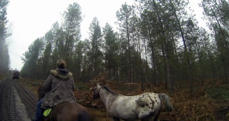 2014.11.24.b.exterieur