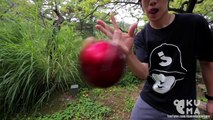 Deux jongleurs japonais de Kendama