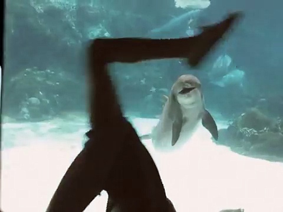 Elle fait de la gymnastique devant des dauphins !