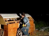 Woman Building a Chicken Coop With Recycled Materials