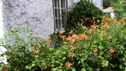 3-galerie d'art jeannette trepanier