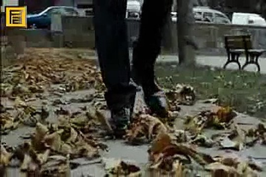 إعلان حلقة 234 - وادي الذئاب الجزء التاسع - الحلقتين 9 و 10 - amer