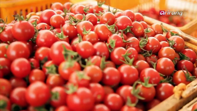 Chefs Foodcation Ep6C3 Summer Watermelon Dishes