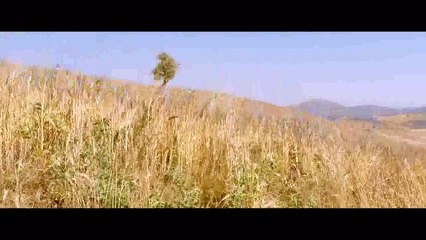Indila - S.O.S