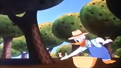 New Donald Duck & Chip And Dale Cartoon Pato Donald & Tico e Teco Movie Compilation Full 2014