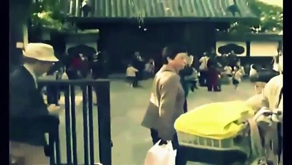 Funny Accidents funny animals 2014 part3 fail Compilation 2014 funny clips Funny videos 2014